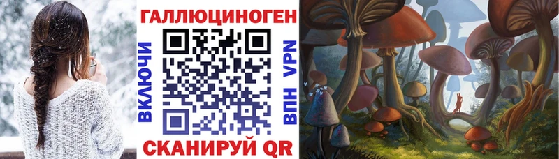 Псилоцибиновые грибы GOLDEN TEACHER что такое Сурск